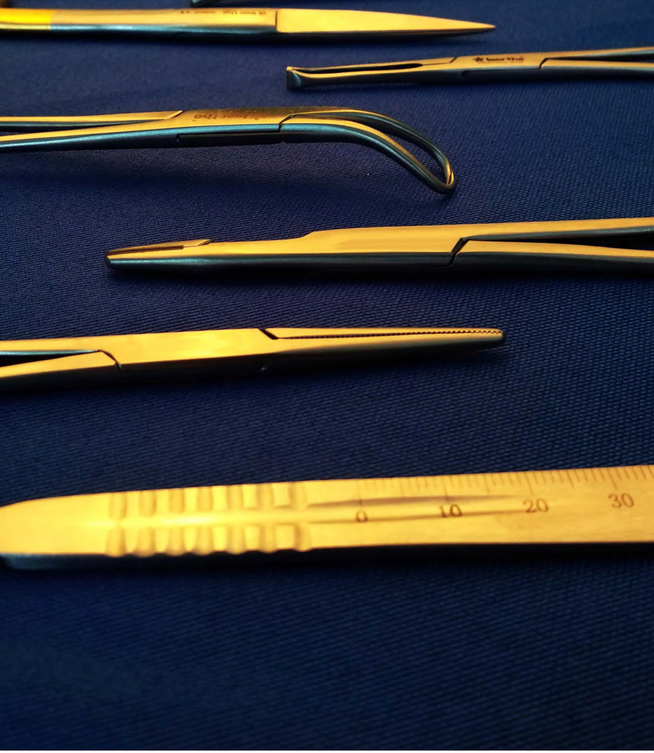 Veterinary Soft Tissue