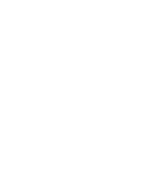 Pursuing Innovation